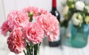 感恩节作文5篇