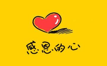 感恩教师的作文精选8篇
