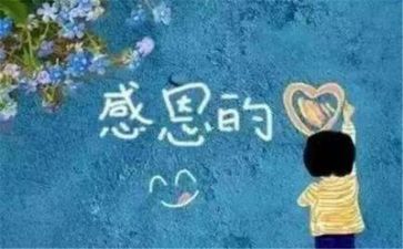 2024年感恩作文800字参考6篇