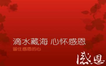 2024感恩作文推荐7篇