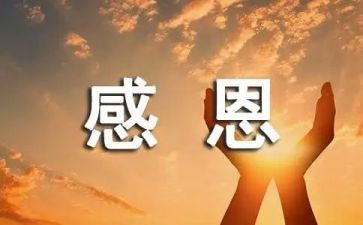 关于感恩心的作文优质6篇