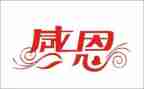 感恩的人或事作文800字参考5篇