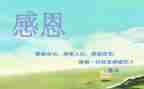 励志感恩的演讲稿最新8篇