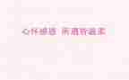 总结感恩节活动总结参考5篇