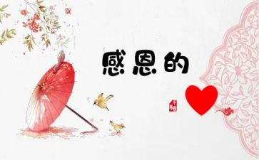 我感激她作文模板6篇