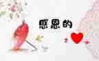 我感激她作文模板6篇