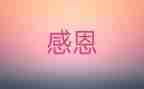 我感激作文7篇