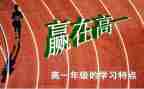 高一语文组工作总结模板5篇