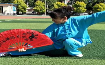 功夫扇教案精选5篇