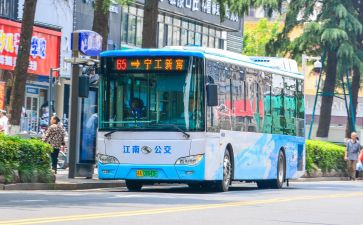 坐公交的作文300字6篇