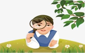 我观察作文6篇