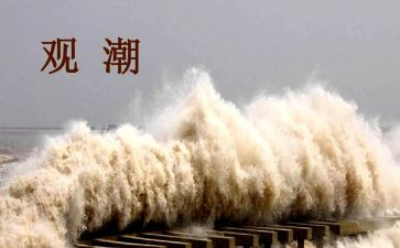 观潮读后感300字5篇