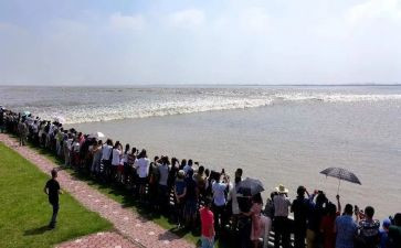 观潮的详细教案5篇