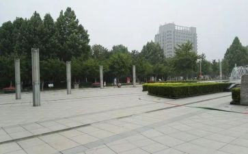 跳广场舞作文500字7篇