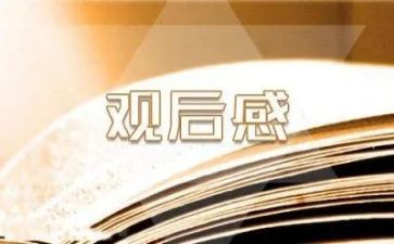 思政课观后感400字5篇