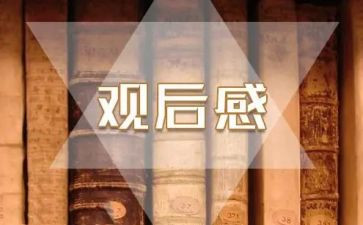 202暑假观后感优质8篇
