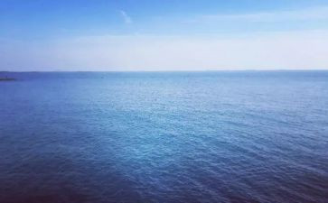 2024上海租房合同7篇