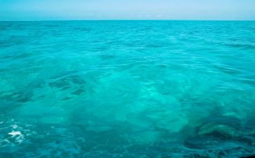 海燕读后感800字7篇