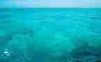 海燕读后感800字7篇