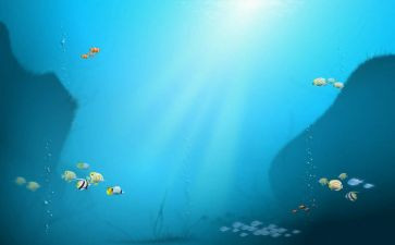 海底捞作文600字优质6篇