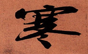 小学寒假读书心得8篇