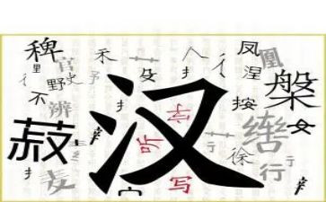 汉字王的作文最新8篇