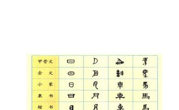 中国汉字爱作文优质8篇