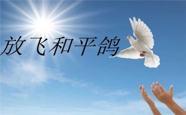 喂和平鸽作文8篇