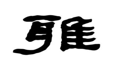 做和雅少年演讲稿6篇