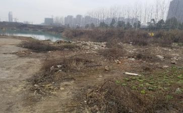承包废荒地合同6篇