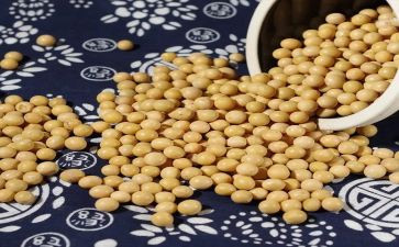 炒黄豆小班教案6篇