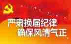 镇级团委换届领导讲话稿8篇
