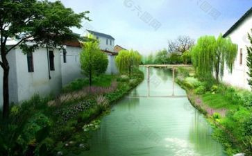 环境报告调研报告5篇