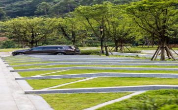 环境的调查报告模板7篇