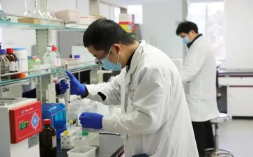 化验岗年终总结模板5篇