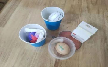 幼儿园护蛋活动总结6篇