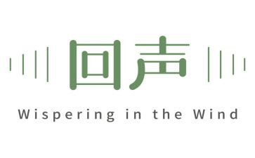 《回声》教案精选8篇