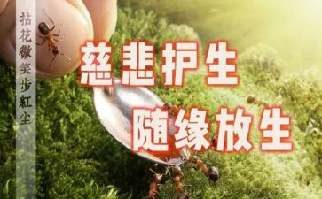 保护生态文明的心得体会5篇