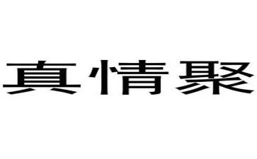 真情作文初三600字7篇