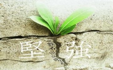 我坚强作文500字精选5篇