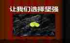 坚强类的作文800字7篇