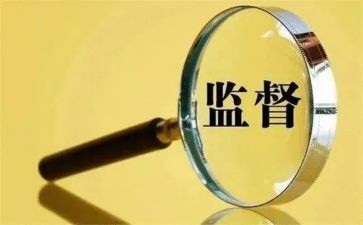 2024年度监事会工作报告8篇