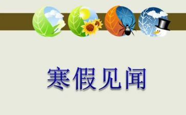 写见闻的作文最新7篇