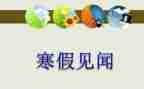 中秋节见闻作文300字6篇