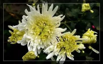 清明节祭奠烈士的演讲稿5篇