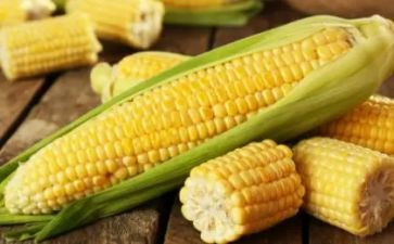 玉米糊作文推荐5篇