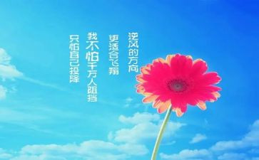 关于激励中考的演讲稿8篇