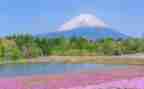 写景抒情的作文600字作文5篇