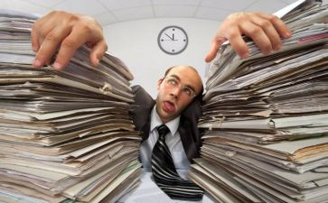 晋岗演讲稿优质7篇