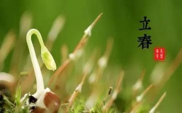 二十四节气活动总结8篇